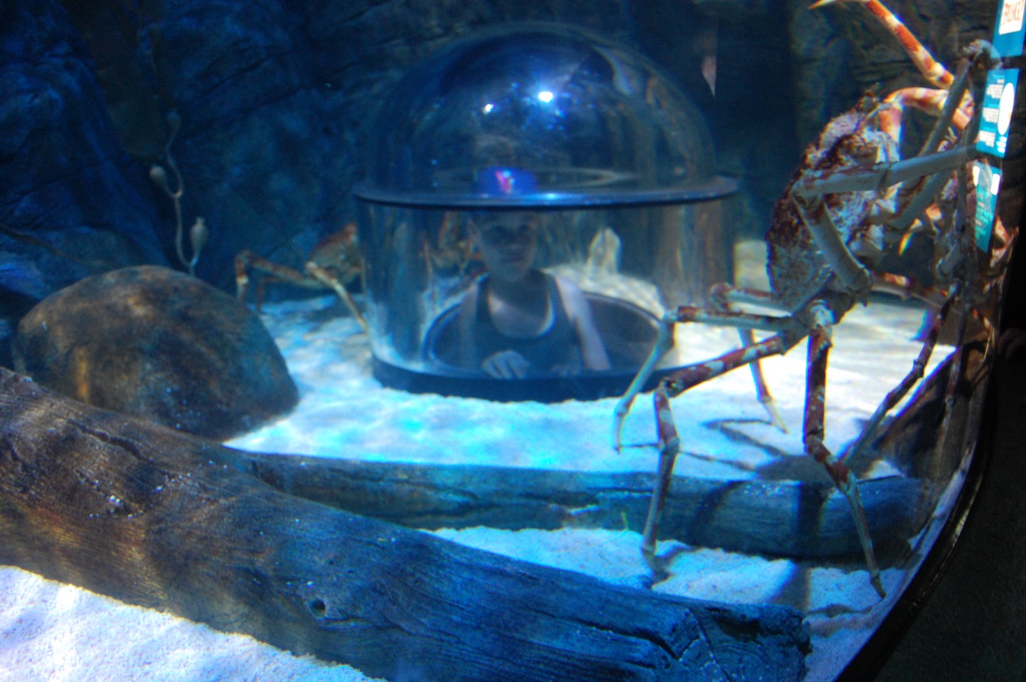 DSC_0547