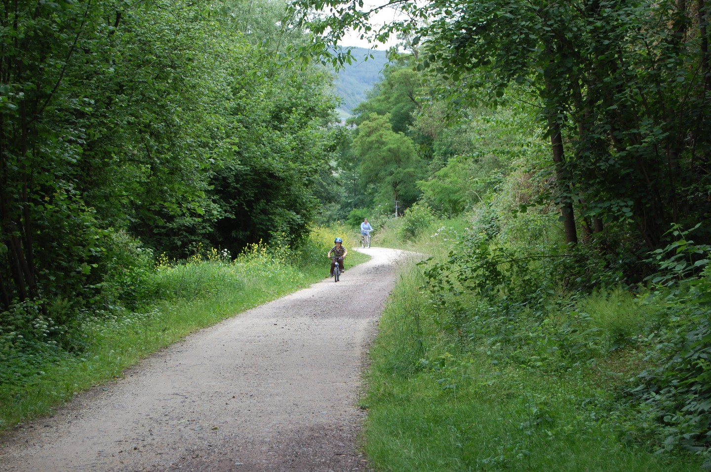 DSC_0618