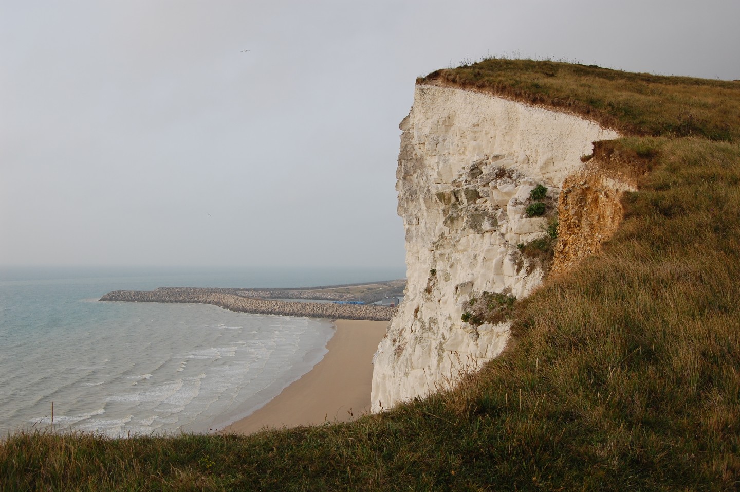 DSC_0785