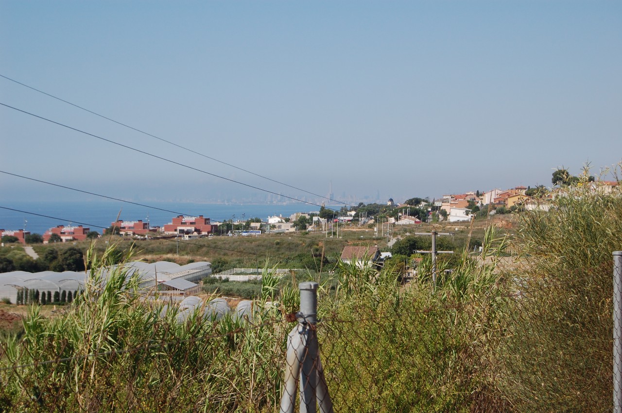 DSC_0019