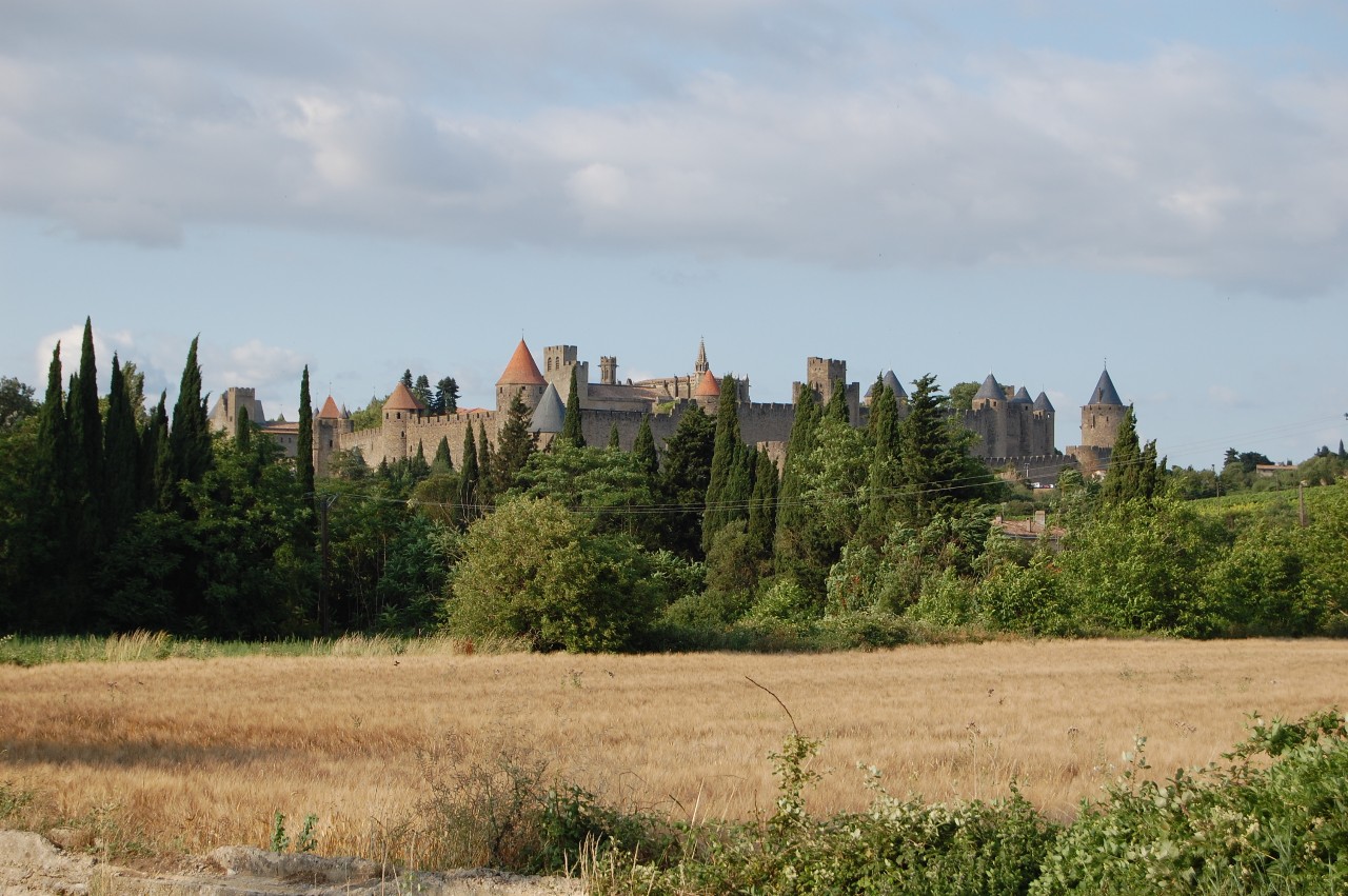DSC_0052